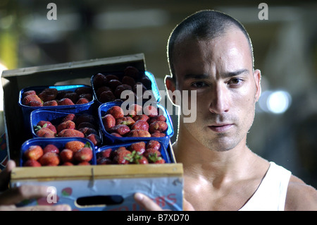 20 centimetri 20 centímetros Anno: 2005 - Spagna Pablo Puyol Direttore: Ramon Salazar Foto Stock