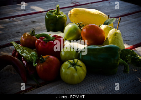 La frutta e le verdure raccolte appena prima del primo gelo dell'anno Foto Stock