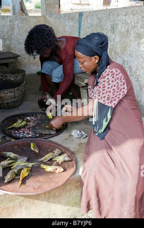 Due donne sono eviscerazione e preparare il pesce giallo presso il locale mercato del pesce in Nigeria Foto Stock