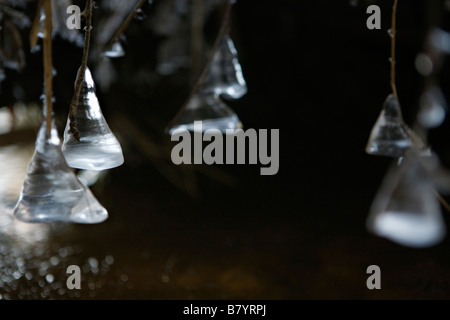 Conica di cristalli di ghiaccio che incombe su acqua in Brasla fiume Gauja Parco Nazionale della Lettonia Foto Stock