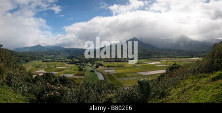 Panorama del paesaggio della valle di Hanalei su Kauai Foto Stock