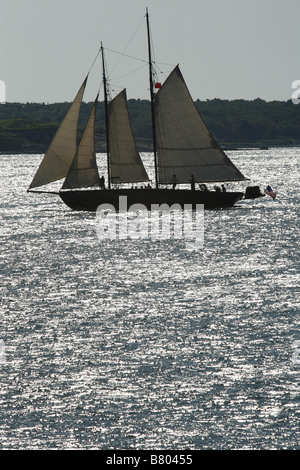 Goletta americana, Portland, Maine, Stati Uniti d'America Foto Stock