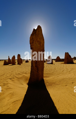 I Pinnacoli Nambung National Park Western Australia formazioni calcaree Foto Stock