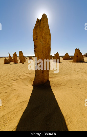 I Pinnacoli Nambung National Park Western Australia formazioni calcaree Foto Stock