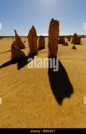 I Pinnacoli Nambung National Park Western Australia formazioni calcaree Foto Stock