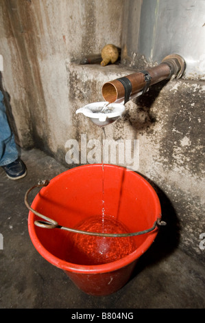 Souma (tsipouro) distillazione Foto Stock