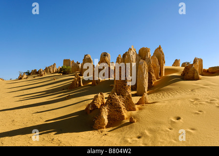 I Pinnacoli Nambung National Park Western Australia formazioni calcaree Foto Stock