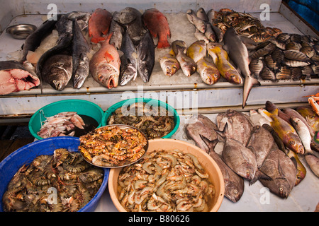 Pesce fresco appena pescato su ghiaccio al mercato del pesce a Fort Cochin Kerala India Foto Stock