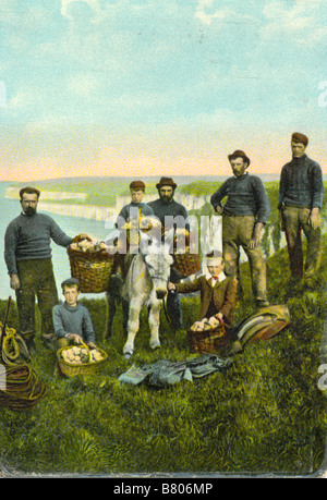 Cartolina di seagull raccolta uova off Flamborough Head, nello Yorkshire, circa 1909 Foto Stock