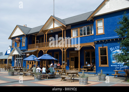 Il Pub blu, Kilworth Street, Methven, Ashburton District, Canterbury, Nuova Zelanda Foto Stock