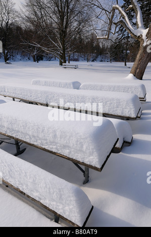 Abbandonato coperto di neve panche per picnic nel vuoto cade Websters Conservation Area Parco Dundas Ontario Canada Foto Stock