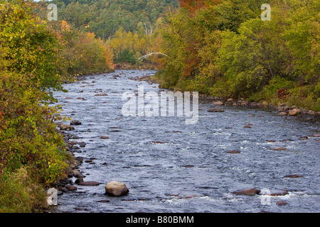 Un babbling in Adirondacks di New York il 6 ottobre 2008 Foto Stock