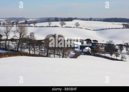 Campagna inglese e in inverno. Testa Dorket, Nottinghamshire, England, Regno Unito Foto Stock