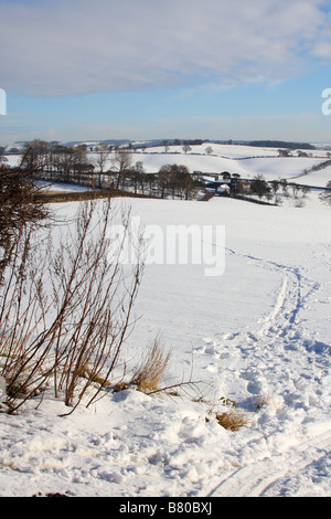 Campagna inglese e in inverno. Testa Dorket, Nottinghamshire, England, Regno Unito Foto Stock