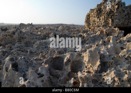 Vista di roccia calcarea closeup formando la costa di Cipro del sud nei pressi di Agia Napa Foto Stock