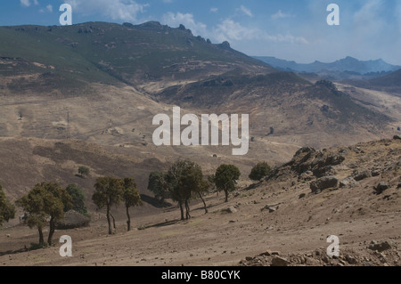 La balla montagne Etiopia Africa Foto Stock