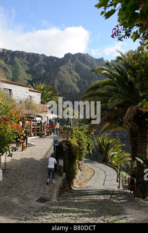 Il piccolo villaggio di montagna di Masca in Teno massiccio Tenerife Isole Canarie Foto Stock