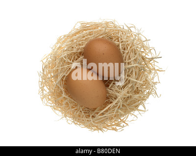 Due uova in un nido Foto Stock