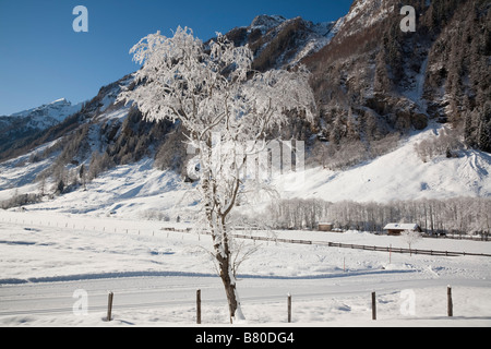 Gennaio inverno scena di neve nelle Alpi austriache. Rauriser Bucheben Sonnen Valley Nationalpark Hohe Tauern Austria Europa Foto Stock
