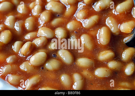 Biona organici i fagioli cotti al forno Foto Stock