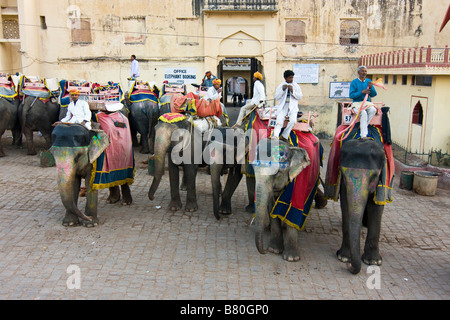 Gli elefanti al lavoro per prendere i turisti visitatori fino al Forte Amber, Jaipur, Rajasthan, India Foto Stock