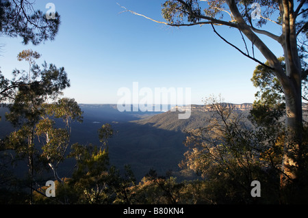 Guardando attraverso Jamison Valley dal punto sublime Blue Mountains Nuovo Galles del Sud Australia Foto Stock