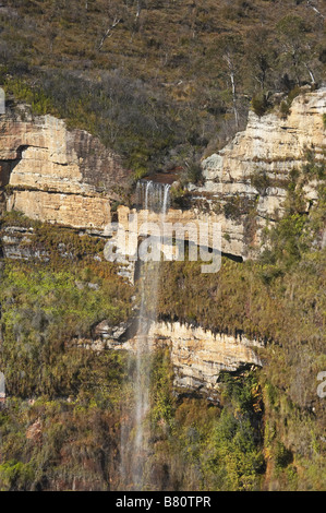 Vista del velo nuziale cade dal Govetts Leap Lookout Blue Mountains Nuovo Galles del Sud Australia Foto Stock