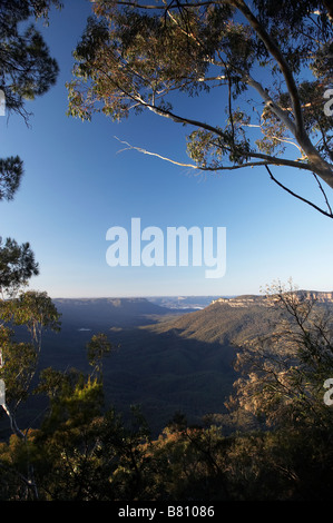 Guardando attraverso Jamison Valley dal punto sublime Blue Mountains Nuovo Galles del Sud Australia Foto Stock