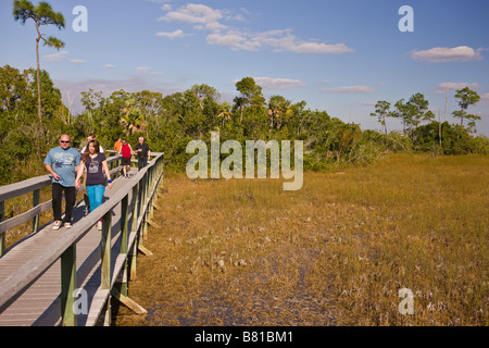 EVERGLADES DELLA FLORIDA - USA i turisti sul Boardwalk mogano amaca Sentiero nel Parco nazionale delle Everglades. Foto Stock