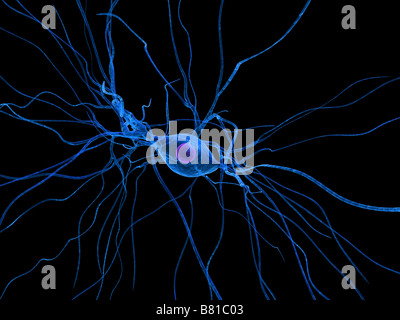 delle cellule nervose Foto Stock