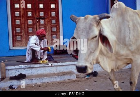 Un indiano Sadhu (uomo santo) e una mucca in Pushkar Foto Stock