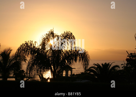 Vista tramonto dell'Atlantico e palme da Costa Adeje a Tenerife, Spagna Foto Stock