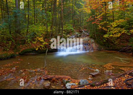 Scena di caduta nei pressi del bacino in Franconia Notch parco dello stato del New Hampshire Foto Stock