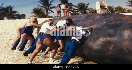 Reno 911 : Miami Anno: 2006 USA Wendi McLendon-Covey, Erri Kenney-Silver, Carlos Alazraqui, Thomas Lennon, Niecy Nash, Robert garantire Direttore: Ben garantire Foto Stock