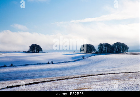 Un soleggiato paesaggio innevato visualizzare o scena sulla Overton Hill vicino a Marlborough Wiltshire, Inghilterra REGNO UNITO Foto Stock