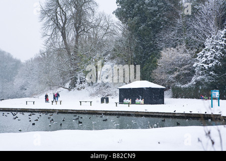 Anatre sul Lago di Swanbourne in Arundel Park, Sussex, Regno Unito sotto la neve in inverno Foto Stock