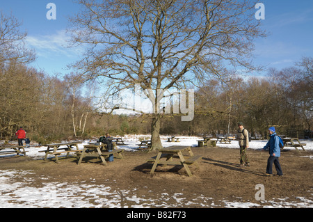 Frensham Great Pond Area Picnic Surrey UK Foto Stock