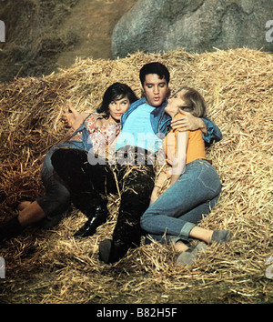 Salut les cugini Kissin' Cugini Anno: 1964 USA Elvis Presley , Yvonne Craig , Pamela Austin Direttore: Gene Nelson Foto Stock