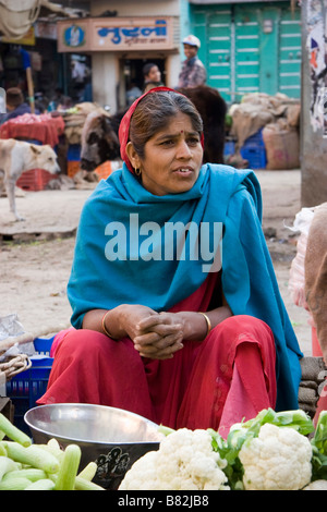 Donna vende verdura Bazaar Bikaner Rajasthan in India Foto Stock