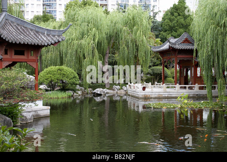 Il giardino Cinese di amicizia in Darling Harbour di Sydney Foto Stock