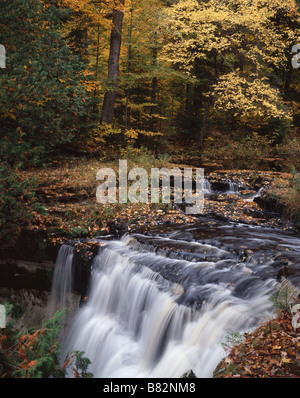 Cascata con fogliame di autunno Foto Stock