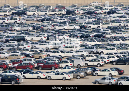 Abu Dhabi guardando verso il basso sulla banchina di storage di importazione di autovetture nuove in attesa di distribuzione Foto Stock