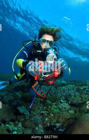 Subacqueo con telecamera, fotografo, Statia isola, subacquea, sull'oceano, sul mare, scuba diving, acqua azzurra, fotocamera, sub femmina Foto Stock