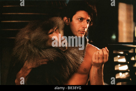 Il Fly Anno: 1986 - USA Direttore: : David Cronenberg Jeff Goldblum Foto Stock