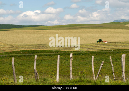 Agricoltore sul suo trattore in un campo di balle di fieno. Cezallier. Auvergne. Francia Foto Stock