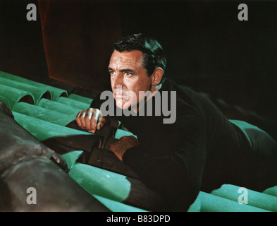 Per la cattura di un ladro Anno: 1955 USA Cary Grant Direttore: Alfred Hitchcock Foto Stock