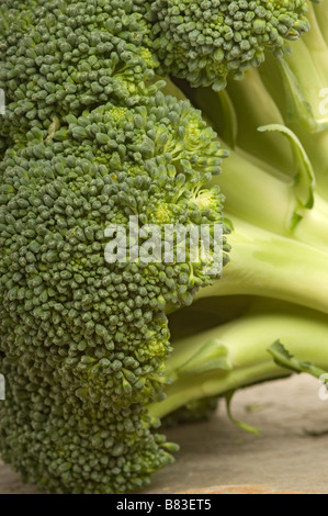 Primo piano di testa vegetale di broccoli crudi non cotti Foto Stock