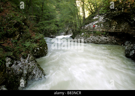 Gola Gorge vicino a Bled in Gorenjska, Slovenia Foto Stock