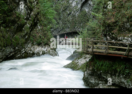 Gola Gorge vicino a Bled in Gorenjska, Slovenia Foto Stock