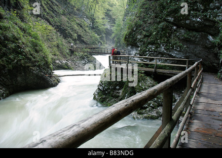 Gola Gorge vicino a Bled in Gorenjska, Slovenia Foto Stock